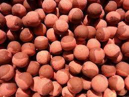 bile 2 - images.jpeg